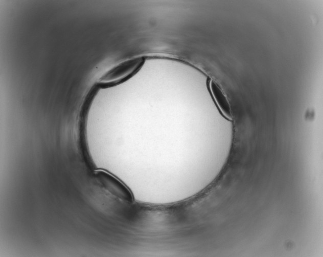 X0000103160344200809192058