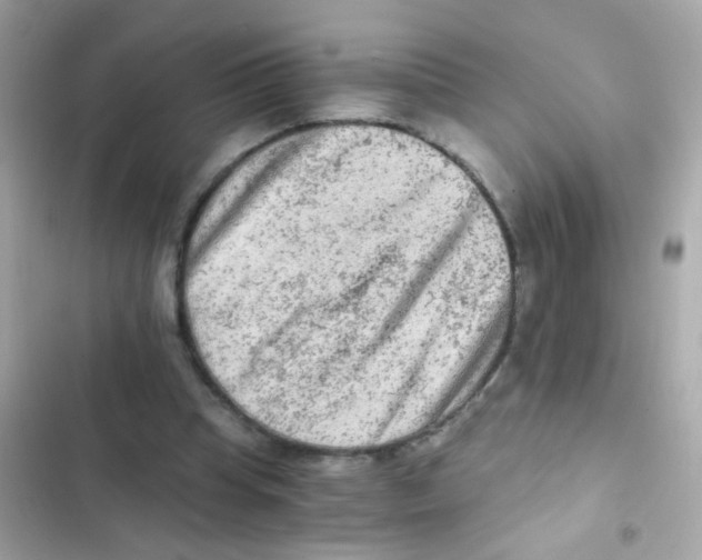 X0000103160345200809192058