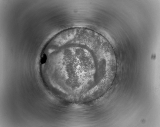 X0000103160346200809192058