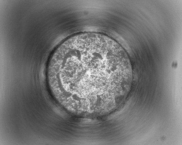 X0000103160347200809192058