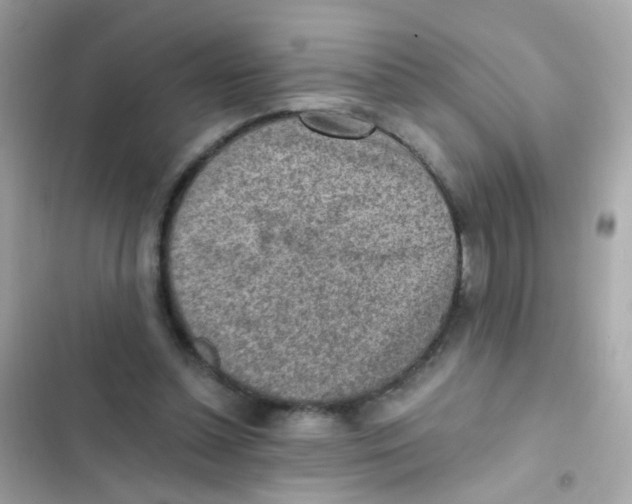 X0000103160348200809192058