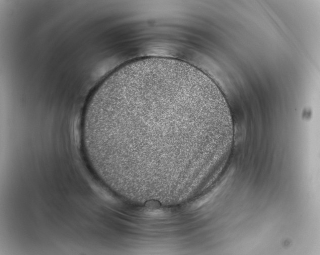 X0000103160349200809192059