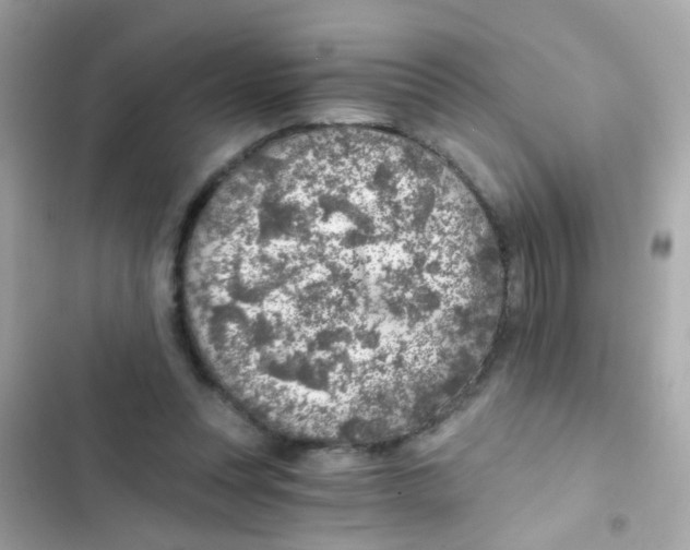 X0000103160351200809192059