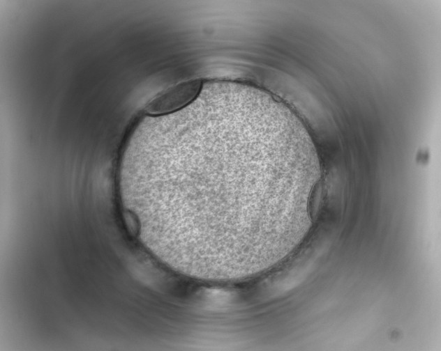 X0000103160352200809192059