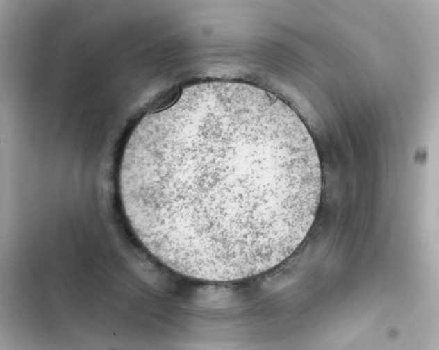 X0000103160354200809192059