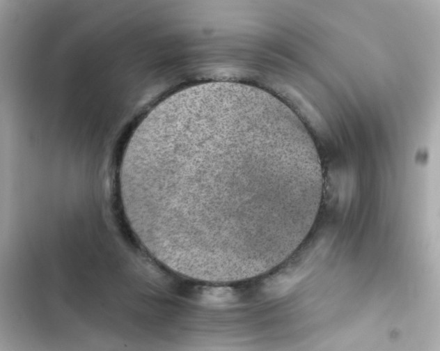 X0000103160355200809192059