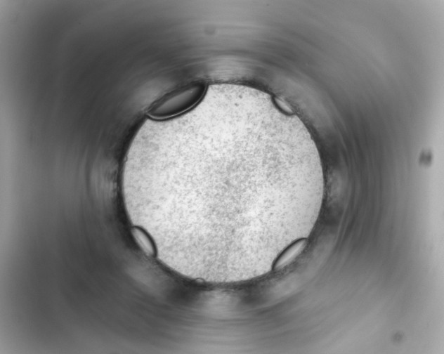 X0000103160356200809192059