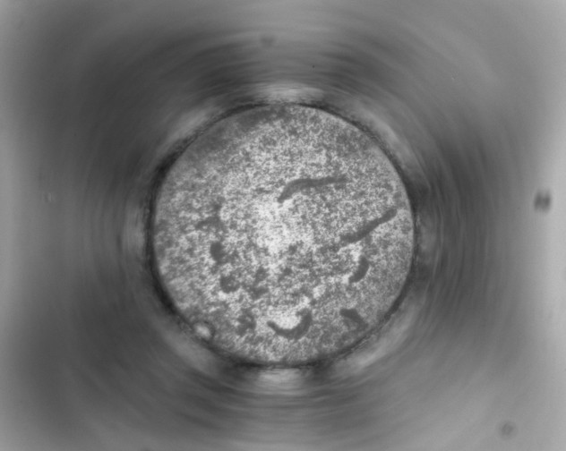 X0000103160357200809192059