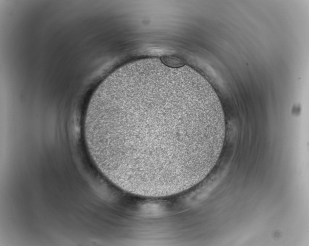 X0000103160358200809192059