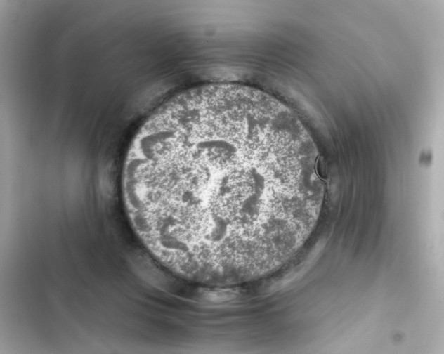 X0000103160359200809192059