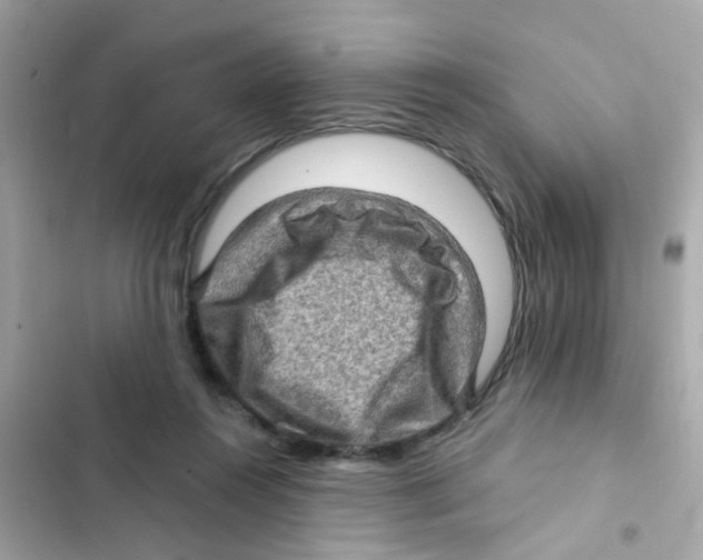 X0000103160360200809192059