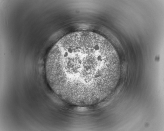 X0000103160361200809192059