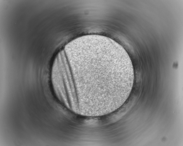 X0000103160362200809192059