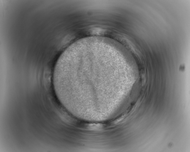 X0000103160363200809192059