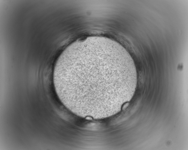 X0000103160364200809192059