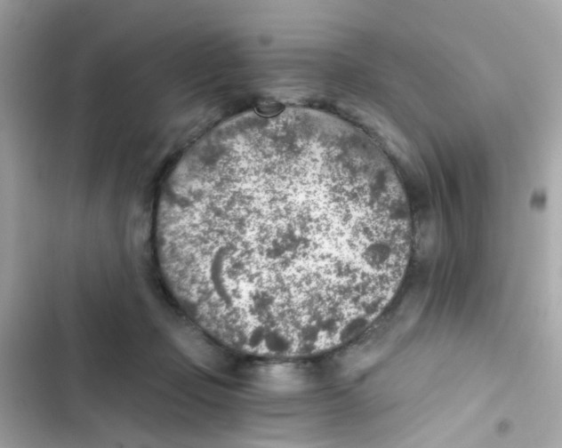 X0000103160365200809192059