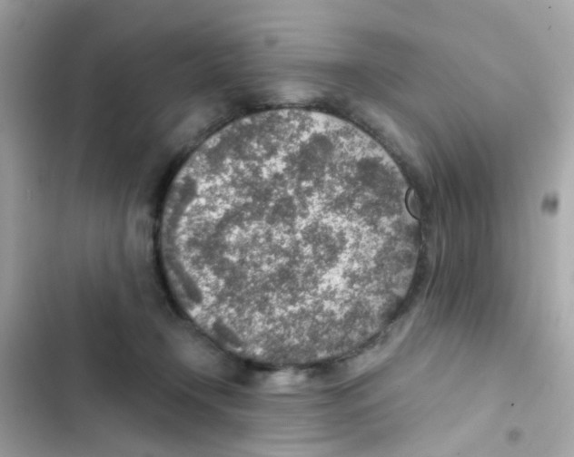 X0000103160366200809192059