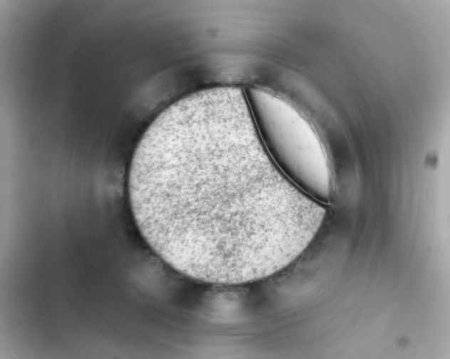 X0000103160368200809192059