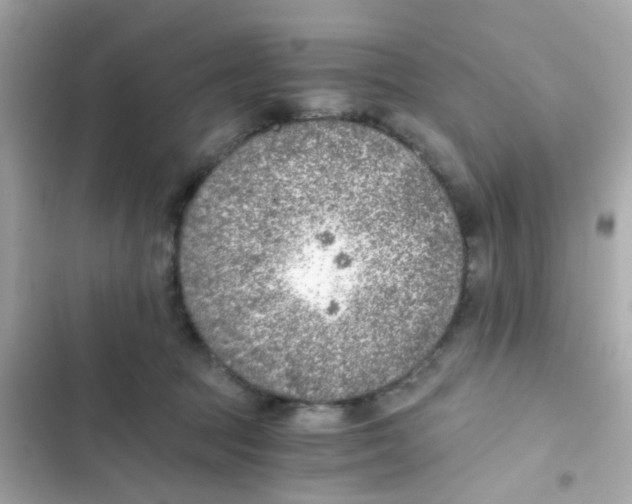 X0000103160369200809192059