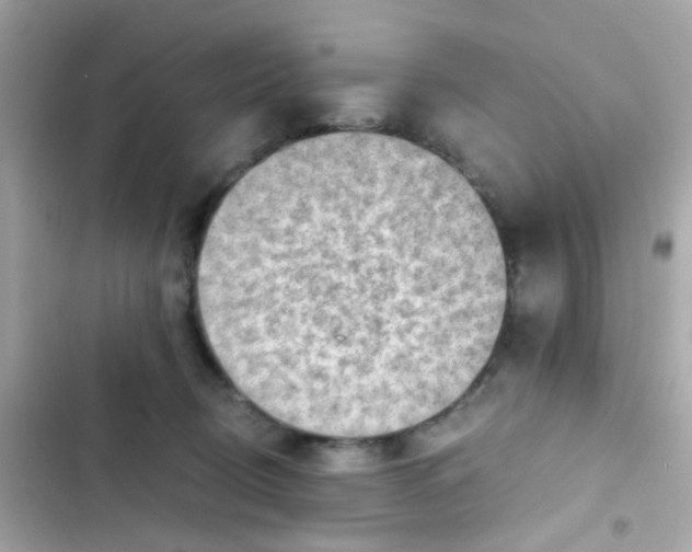 X0000103160370200809192059