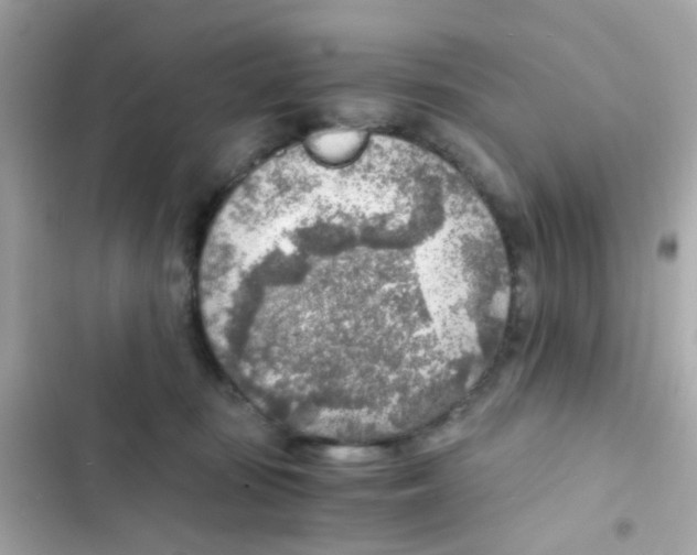 X0000103160371200809192059