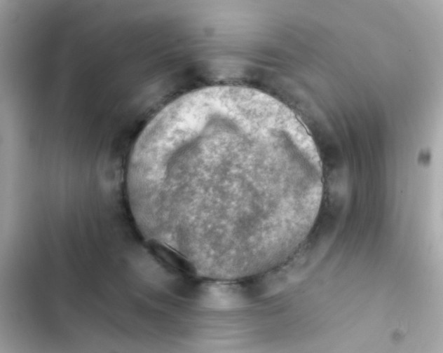 X0000103160372200809192059