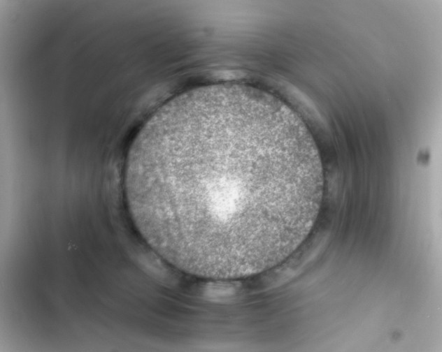 X0000103160373200809192059