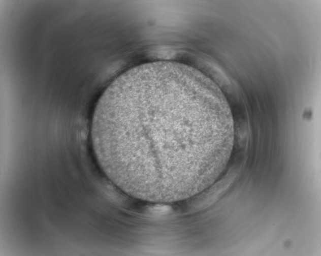 X0000103160374200809192059