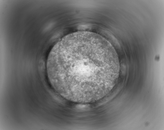 X0000103160375200809192059