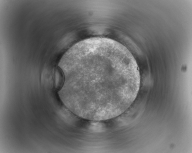 X0000103160376200809192059