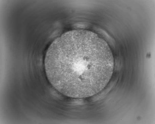 X0000103160377200809192059