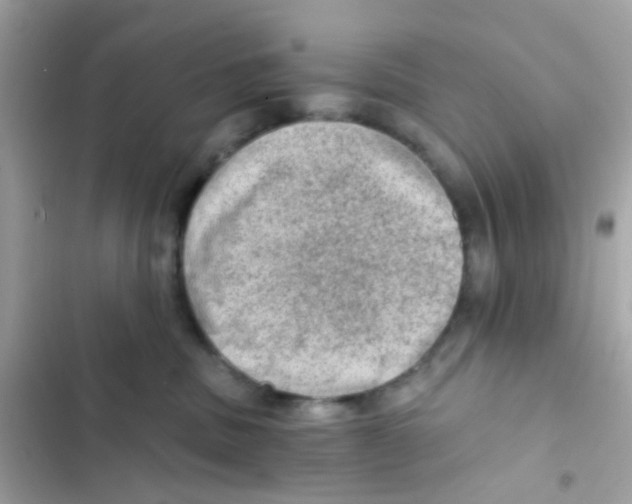 X0000103160379200809192059