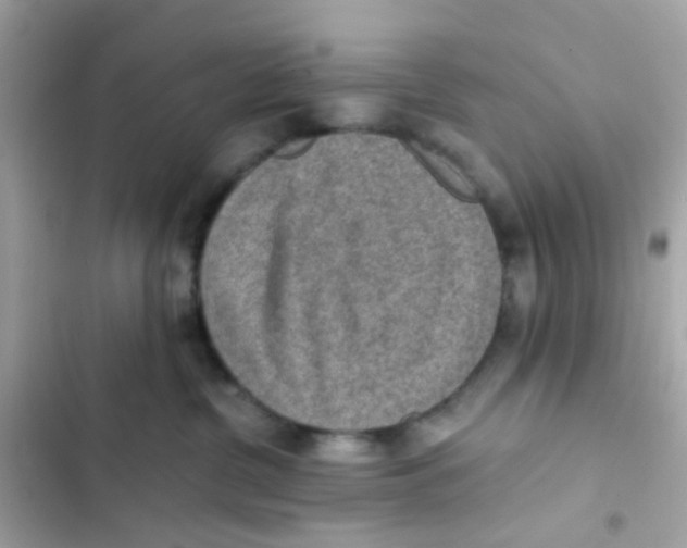 X0000103160380200809192059