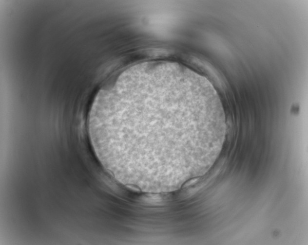 X0000103160381200809192059