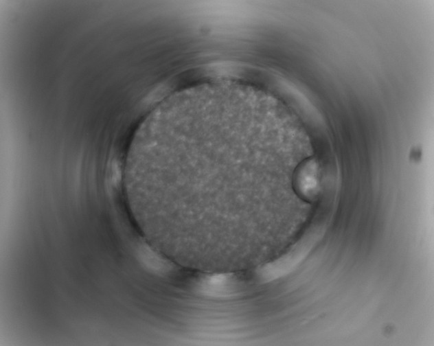 X0000103160382200809192059