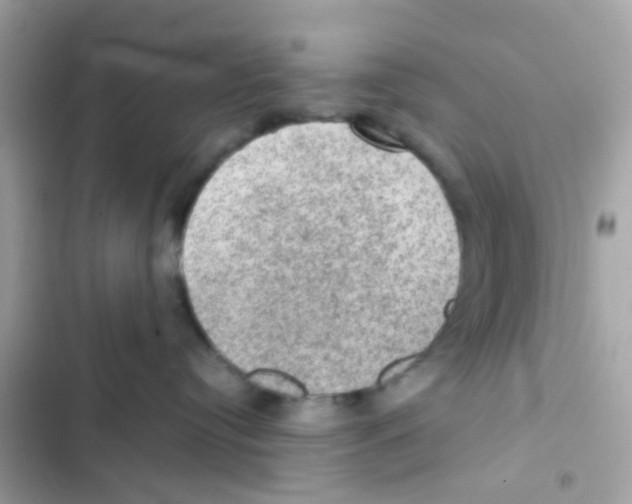 X0000103160384200809192059