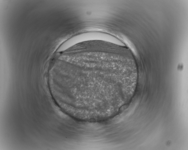 X0000103160385200809192058