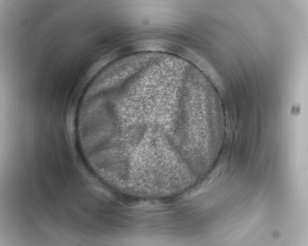 X0000103160386200809192058