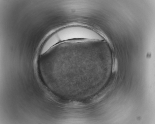 X0000103160387200809192058