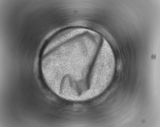 X0000103160388200809192058