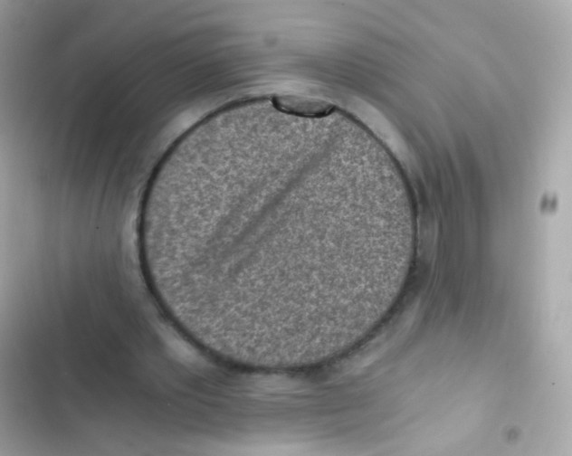 X0000103160389200809192058