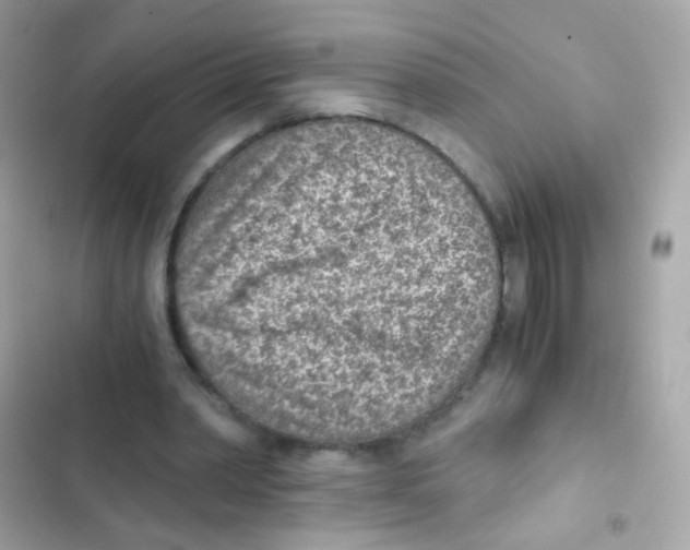 X0000103160390200809192058