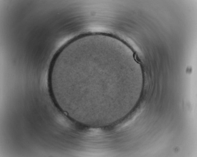 X0000103160391200809192058