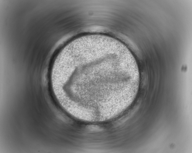 X0000103160392200809192058