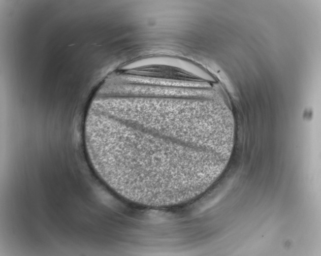 X0000103160393200809192058