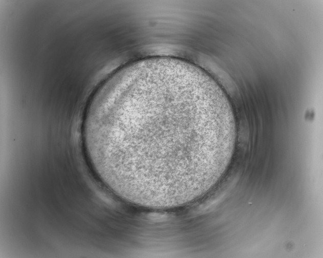 X0000103160394200809192058