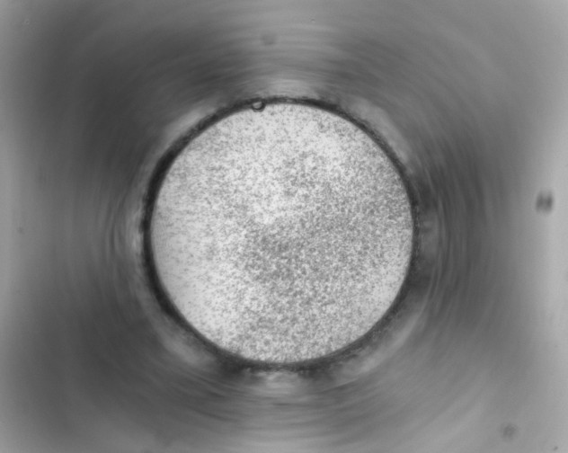 X0000103160395200809192058