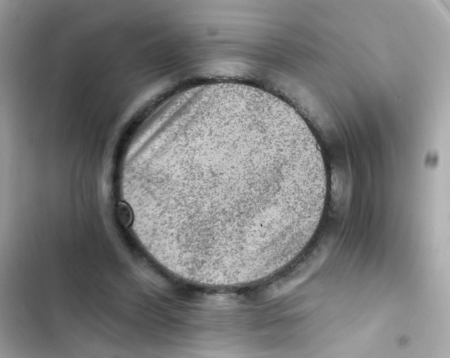 X0000103160396200809192058