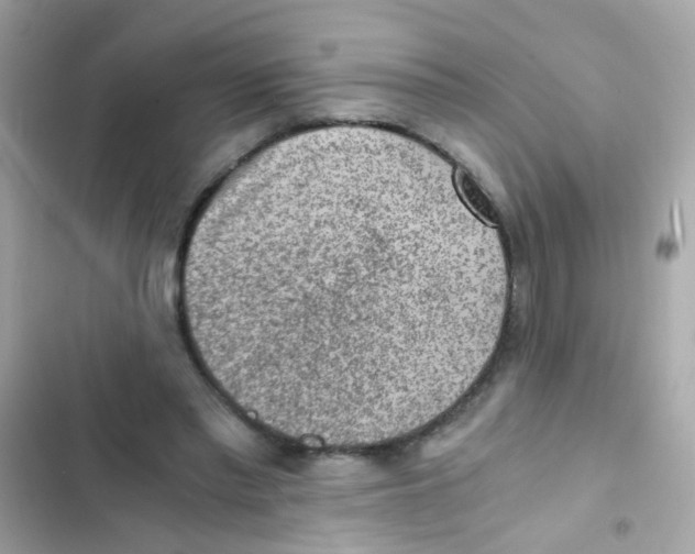 X0000103160397200809192058