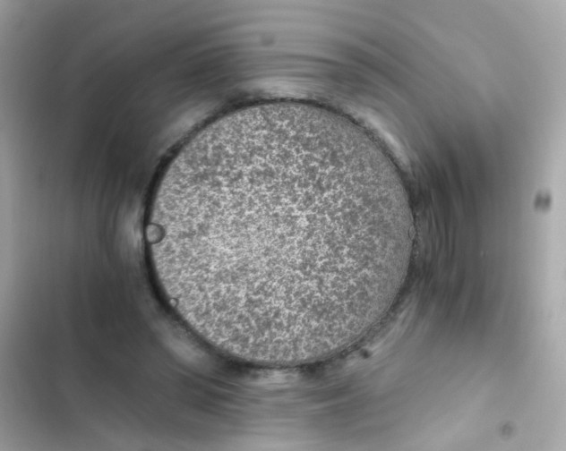 X0000103160398200809192058